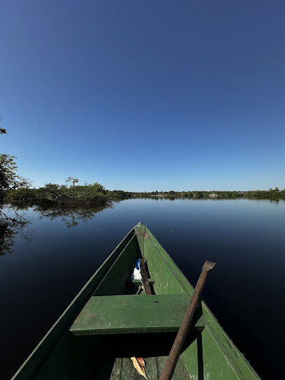 Amazon Antonio Jungle Tours