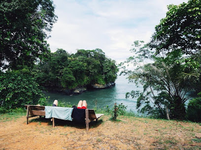 Jaguar Amazon Tours