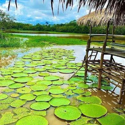 Kakau Tours Viagens e Turismo