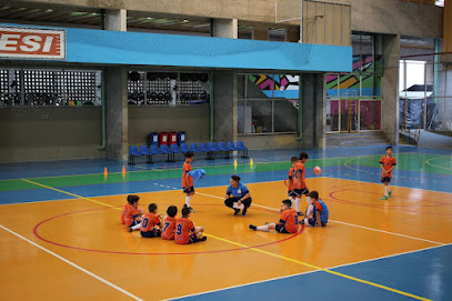 Panter Sports Brasil