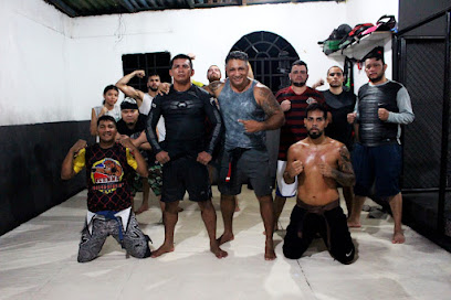 ACR MMA