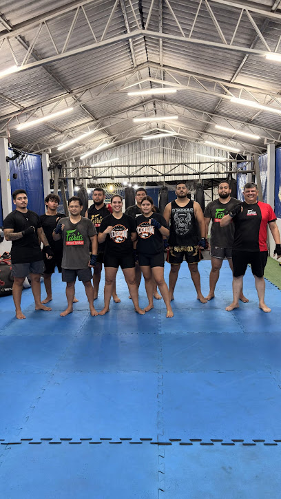 Felipe Fúria - Academia de Muaythai e Kickboxing