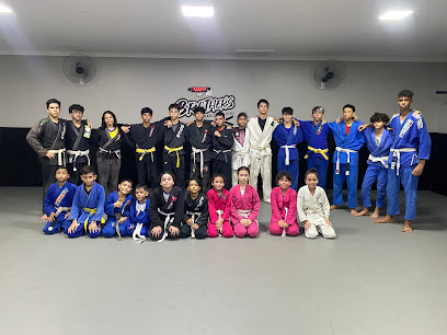 Brothers Brazilian Jiu Jitsu