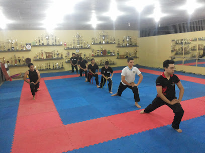 Ninjutsu Defesa Pessoal Japonesa