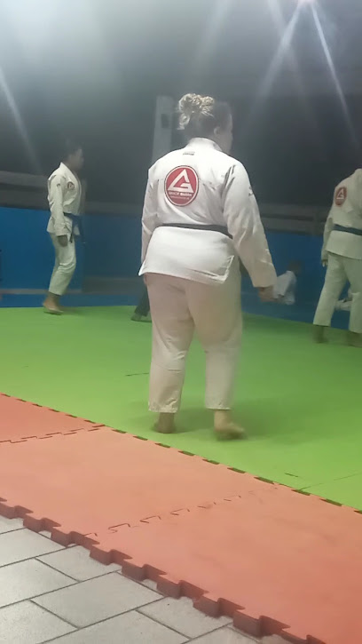 Gracie Barra Amazonas São Jorge