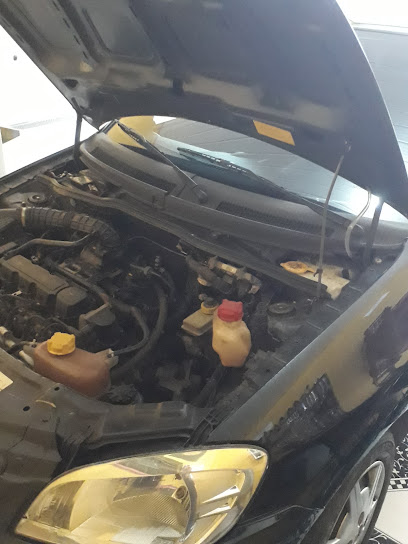 Auto Elétrica Vida