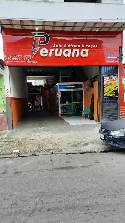 Auto Elétrica e Peças Peruana
