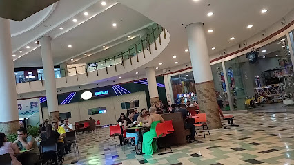 Molen Cafés Especiais