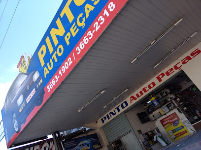 Pinto Auto Peças